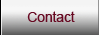Contact Midlife Bachelor